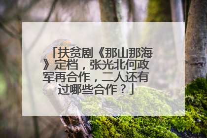 扶贫剧《那山那海》定档,张光北何政军再合作,二人还有过哪些合作?