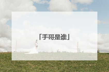 手哥是谁