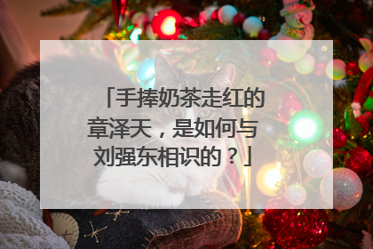 手捧奶茶走红的章泽天,是如何与刘强东相识的?