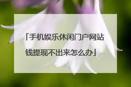 手机娱乐休闲门户网站钱提现不出来怎么办