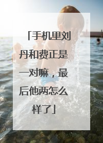 手机里刘丹和费正是一对嘛,最后他两怎么样了