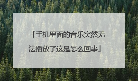 手机里面的音乐突然无法播放了这是怎么回事