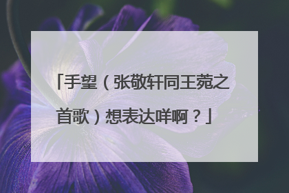手望（张敬轩同王菀之首歌）想表达咩啊？