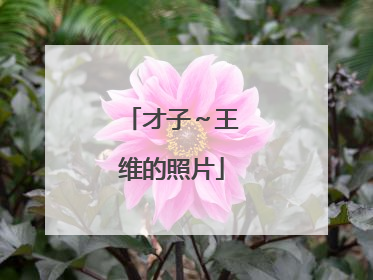 才子~王维的照片