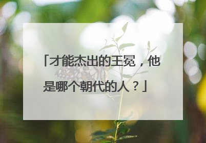 才能杰出的王冕，他是哪个朝代的人？