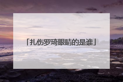 扎伤罗琦眼睛的是谁