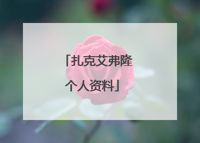 扎克艾弗隆个人资料