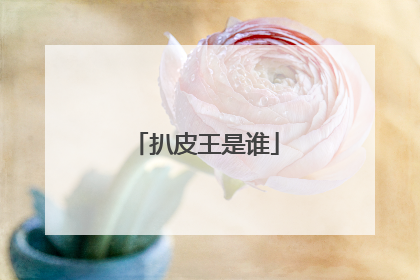 扒皮王是谁