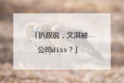 扒叔说，文淇被公司diss？