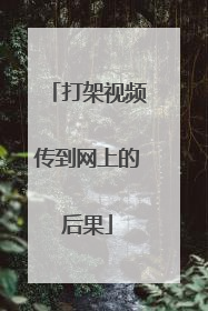 打架视频传到网上的后果