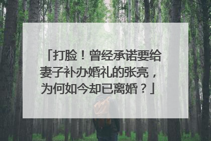 打脸！曾经承诺要给妻子补办婚礼的张亮，为何如今却已离婚？