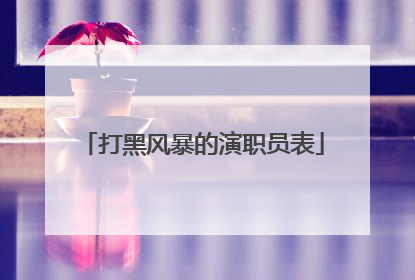 打黑风暴的演职员表