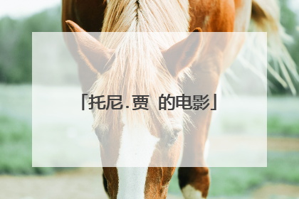 托尼.贾 的电影