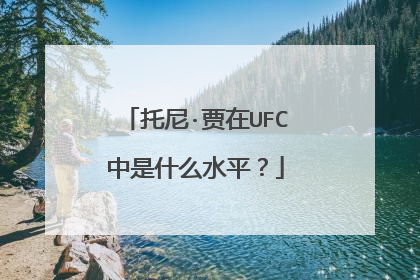 托尼·贾在UFC中是什么水平？