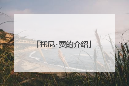 托尼·贾的介绍