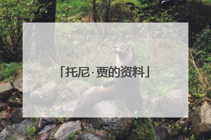 托尼·贾的资料