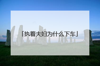 执着夫妇为什么下车