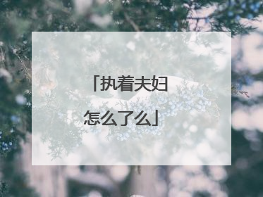 执着夫妇怎么了么