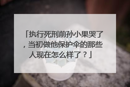 执行死刑前孙小果哭了，当初做他保护伞的那些人现在怎么样了？