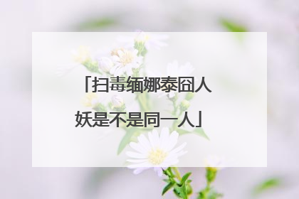 扫毒缅娜泰囧人妖是不是同一人