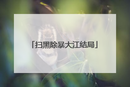 扫黑除暴大江结局