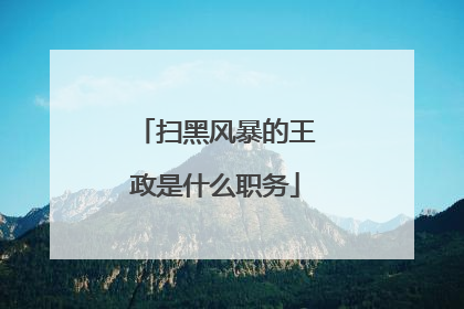 扫黑风暴的王政是什么职务