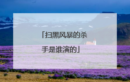 扫黑风暴的杀手是谁演的