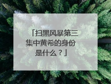 扫黑风暴第三集中黄希的身份是什么？