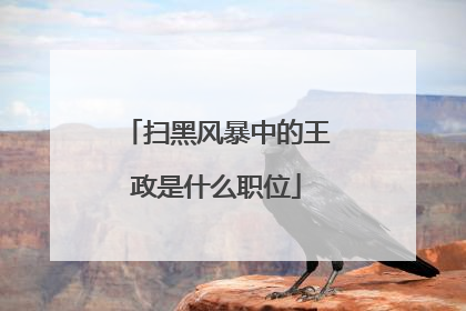 扫黑风暴中的王政是什么职位