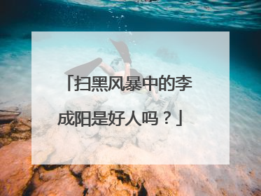 扫黑风暴中的李成阳是好人吗？