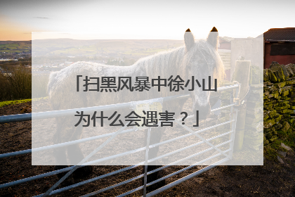 扫黑风暴中徐小山为什么会遇害？
