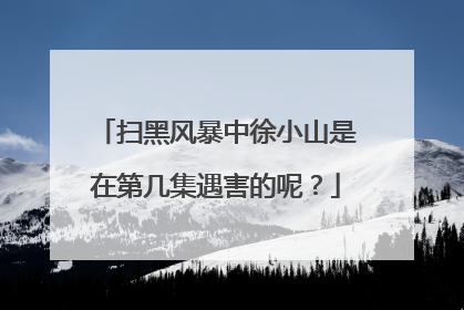 扫黑风暴中徐小山是在第几集遇害的呢?