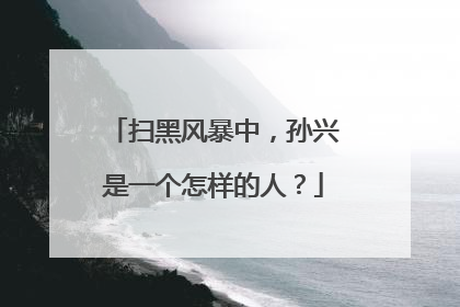 扫黑风暴中，孙兴是一个怎样的人？