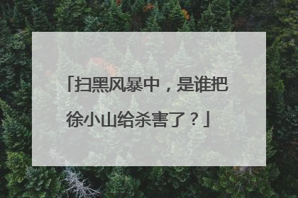 扫黑风暴中,是谁把徐小山给杀害了?