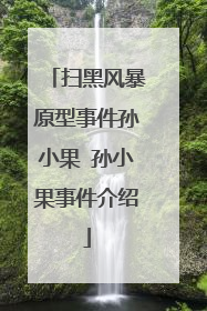 扫黑风暴原型事件孙小果 孙小果事件介绍