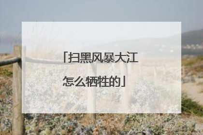 扫黑风暴大江怎么牺牲的