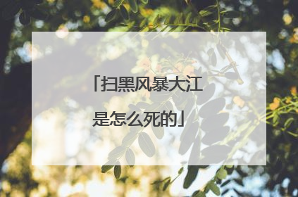 扫黑风暴大江是怎么死的