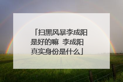 扫黑风暴李成阳是好的嘛 李成阳真实身份是什么