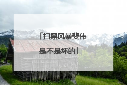 扫黑风暴斐伟是不是坏的