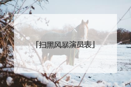 扫黑风暴演员表