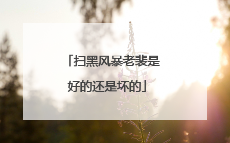 扫黑风暴老裴是好的还是坏的