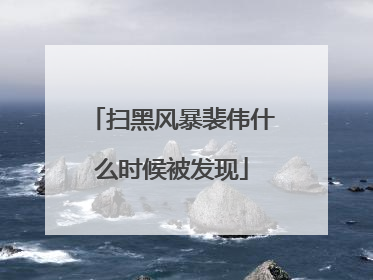 扫黑风暴裴伟什么时候被发现