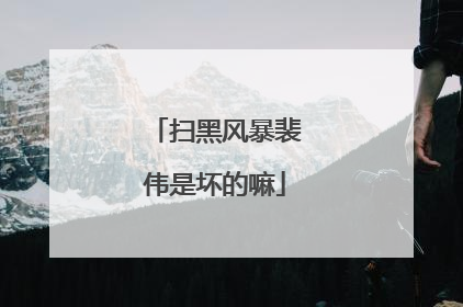 扫黑风暴裴伟是坏的嘛