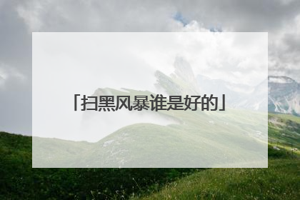 扫黑风暴谁是好的