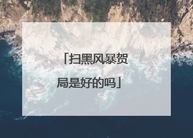 扫黑风暴贺局是好的吗