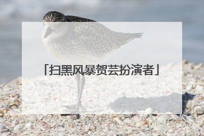 扫黑风暴贺芸扮演者