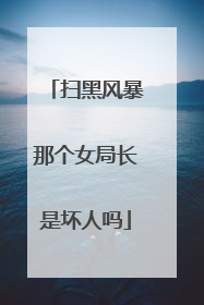 扫黑风暴那个女局长是坏人吗