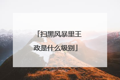 扫黑风暴里王政是什么级别