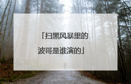 扫黑风暴里的波哥是谁演的