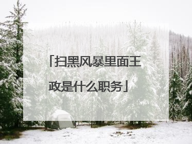 扫黑风暴里面王政是什么职务